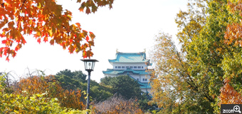 にゃんこ／愛知県名古屋市　「名城公園　紅葉さんぽ。」　逆光で輝く葉と、そこから望む名古屋城を一緒に撮りたくて、構図を決めました。天守閣がきれいなブルーになるように露出を少しプラスにふっています。
