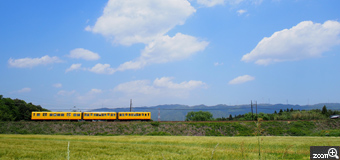 にゃんこ／愛知県名古屋市　「のんびり行こうよ」　三岐鉄道北勢線に乗ってきました。麦畑の横をのんびり走る小さな黄色い電車が可愛くて、今お気に入りの場所なのです。雨上がりの青空の日を待って撮りました。
