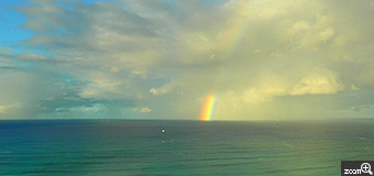 くろわっさん／愛知県あま市　「嘆きの虹」　ハワイ旅行最終日にホテルから見えた虹です。虹色がはっきりみえるように、背景を落として撮影しました。最終日の朝、雨上がりに突如現れた虹。
なんだか、見送られている様で切なくなりました。