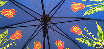 受験生／愛知県名古屋市　「咲いた咲いた」　傘の日も楽しく。　鮮やかさが伝わる様に撮影しました。