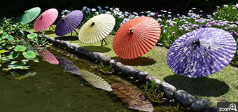 あこ／愛知県春日井市　「和傘と花しょうぶ」　徳川園で花しょうぶと和傘の展示を見てきました。　池に和傘が映り込んでいたのでそれをなんとか入れようと色々位置を変えて撮りました。