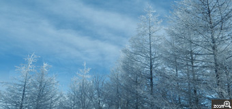 yukimaru／愛知県稲沢市　「冬景色」　美ヶ原の凍てつく景色が美しくて、車窓から何十枚も撮りました。　青い空と白い樹氷のコントラストを切り取りました。
