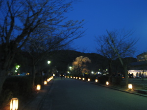 円山公園.JPG