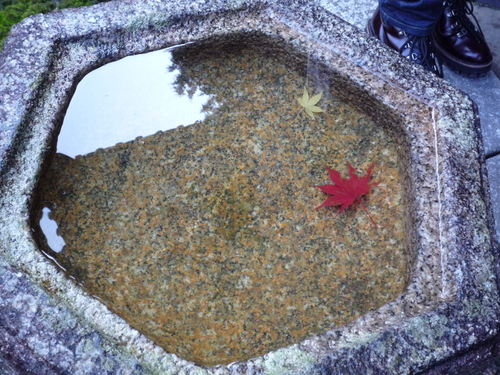 東福寺紅葉１０.JPGのサムネール画像