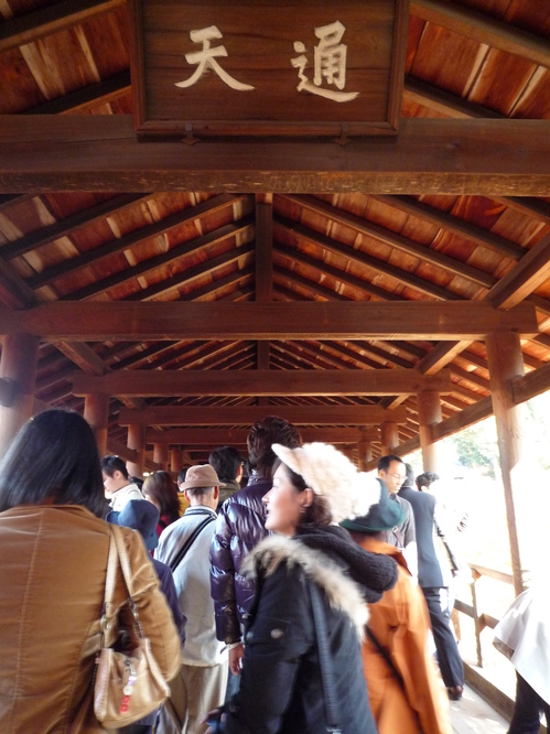東福寺紅葉６.JPGのサムネール画像