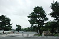 嵐山公園.JPGのサムネール画像