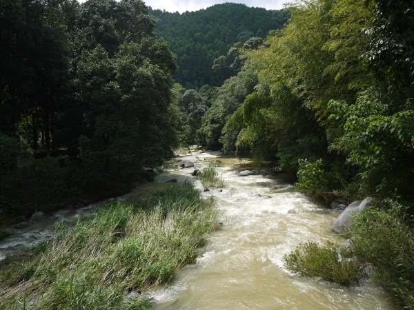 ３ Nakagawa River.jpg