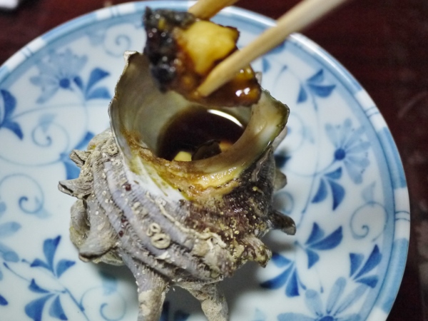 ３ Saburo Sushi Turban Shell.jpg