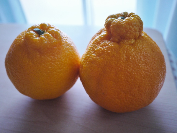 ５ Saburo Sushi Japanese Orange.jpg