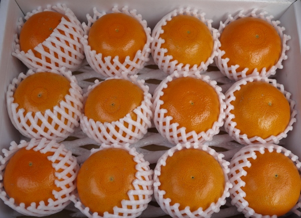 ６ Saburo Sushi Mandarin Orange.jpg