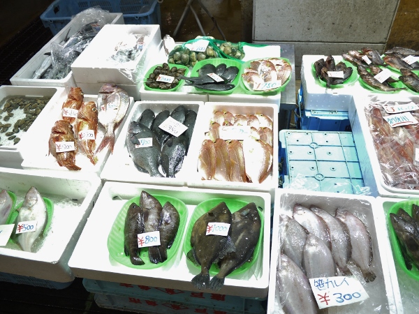 ７ Karato Ichiba Fishmonger Product.jpg