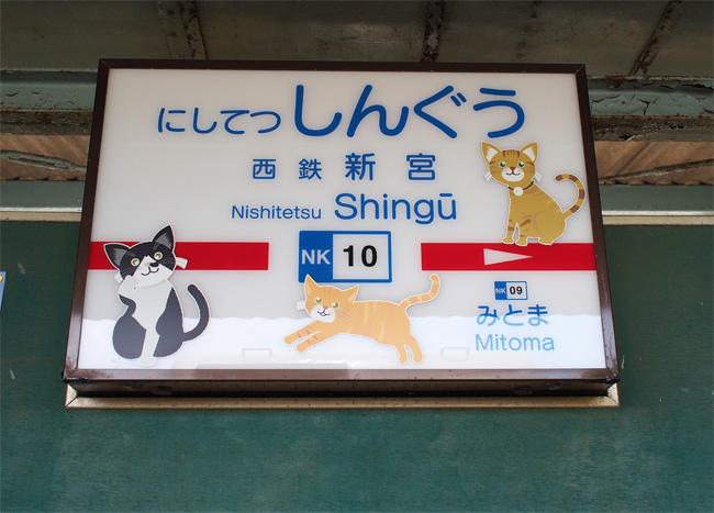 新宮駅猫さん3602.jpg