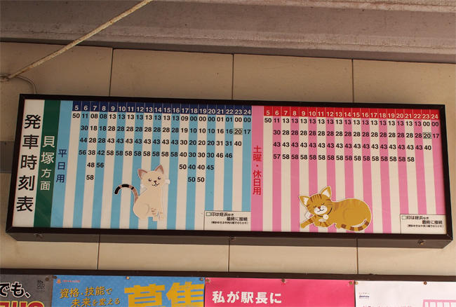 新宮駅猫さん3603.jpg
