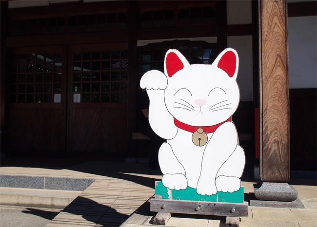 豪徳寺招き猫さん3787.jpg