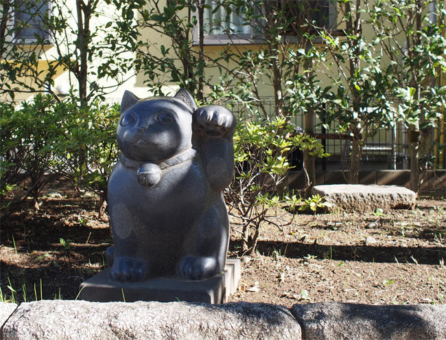 豪徳寺周辺猫さん3791.jpg