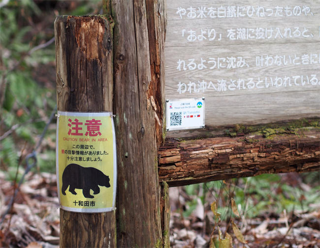 十和田の熊注意3945.jpg