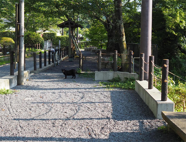 黒猫さん4677.jpg