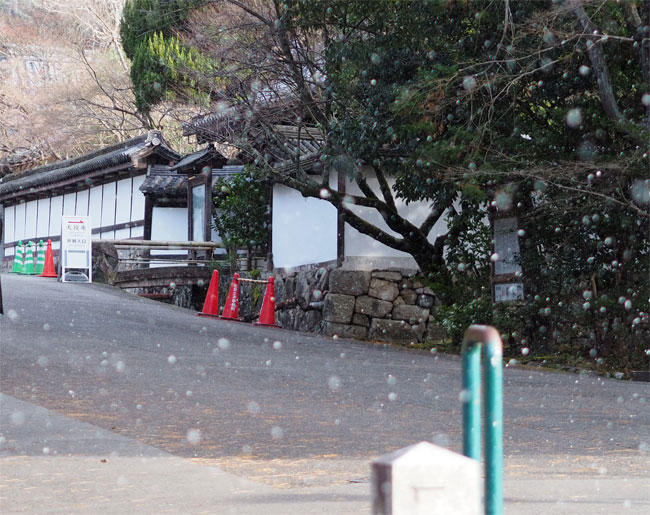 雪の京都4899.jpg