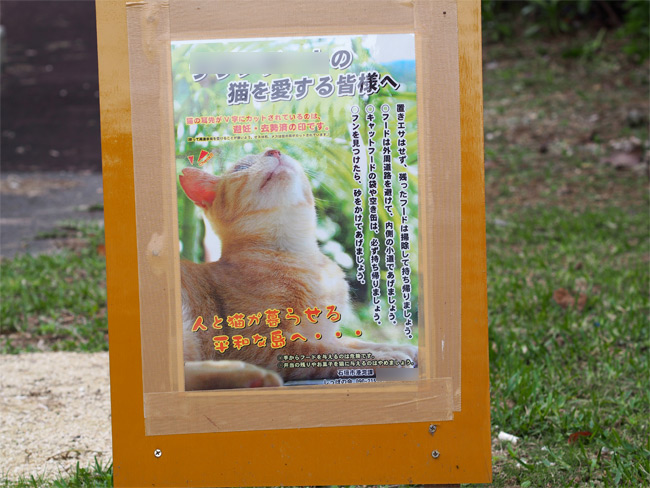 石垣島の猫さん看板1109.jpg