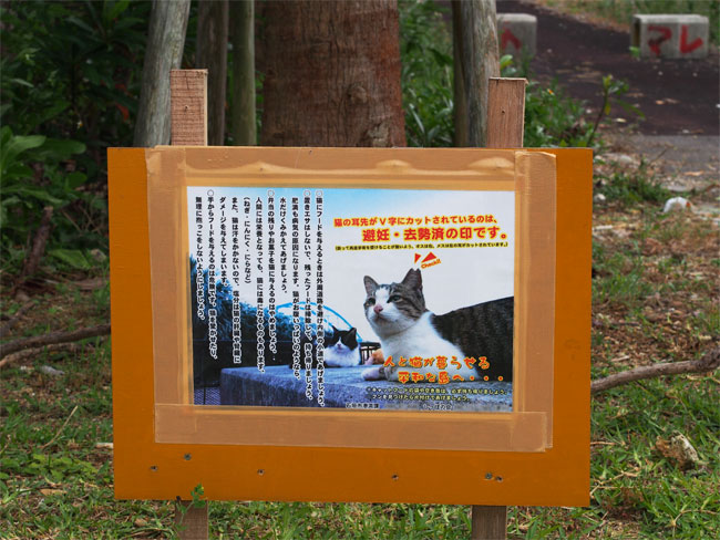 石垣島の猫さん看板1110.jpg