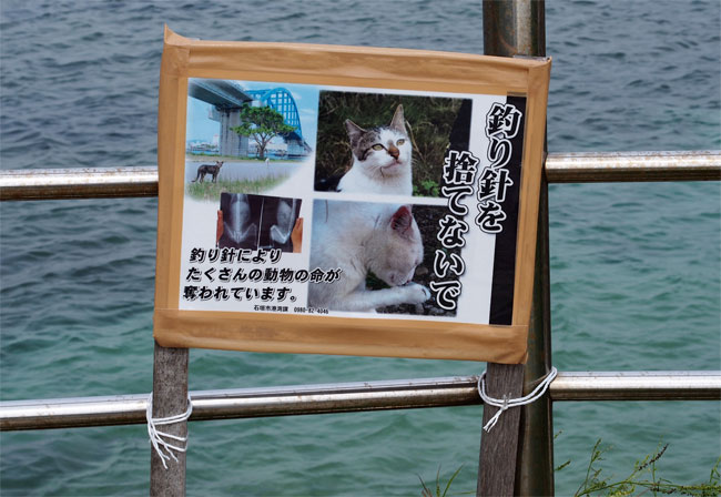 石垣島の猫さん看板1112.jpg