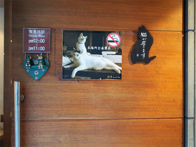 台湾の猫カフェ 極簡カフェ1386.jpg