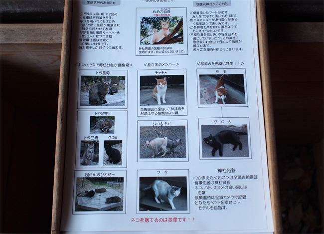 猫神社の猫さん1851.jpg