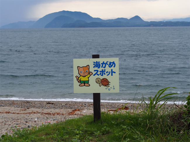 湯島の猫さん507.jpg