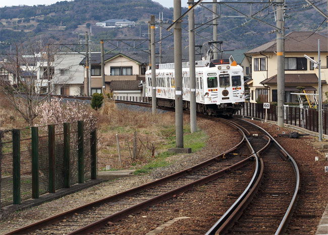 たま電車950.jpg