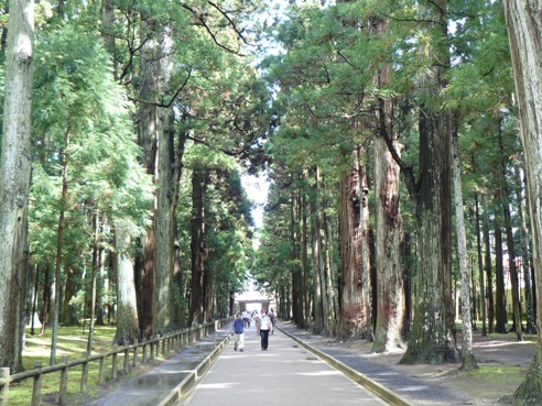 zuiganji path.jpg