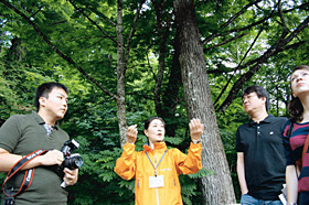 参加者にトチノキやブナなどの森を案内する奥入瀬コンシェルジュの小笠原るり子さん（左から２人目）＝十和田市で