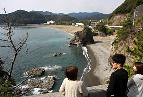 ウミガメの産卵地として国の天然記念物に指定されている大浜海岸＝徳島県美波町で