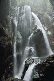 竜が水を吐き出すような姿から竜吐水とも呼ばれる中津渓谷の雨竜の滝