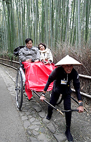 嵐山の渡月橋や竹のトンネルなどを巡る人力車＝いずれも京都市内で
