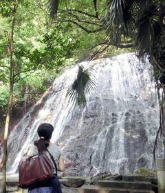 瀬尾川上流の３段に落ちる瀬尾観音三滝＝いずれも鹿児島県の下甑島で