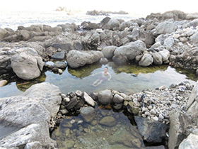 透明な「足付温泉」。高温の源泉と海水が混ざり、ちょうどいい湯加減になる