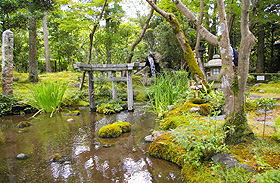 三柱鳥居（中央）と琵琶湖疏水から引き込んだ滝（後方）、覆ったコケが不思議な雰囲気を醸し出す南禅寺・大寧軒の庭＝京都市で