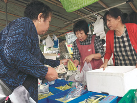 旬の地元食材「四方竹」を販売する鎌倉洋子さん（右）