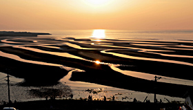 干潟と潮だまりが夕日に照らされて、幻想的なコントラストを描く＝大分県豊後高田市の真玉海岸で