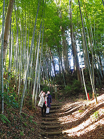 竹林の中に句碑や芭蕉ゆかりの地が点在する「芭蕉の道」＝いずれも栃木県大田原市で