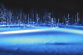 ライトアップで幻想的な表情を見せる「青い池」＝北海道美瑛町で