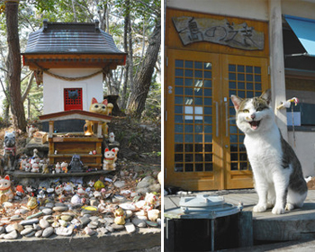 （左）猫神さまがまつられている猫神社　（右）「島のえき」の前でニャーと鳴く猫