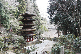 早春の室生寺、かれんにさえ見える五重塔は同寺のシンボルだ＝奈良県宇陀市で