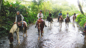 大雨で川となった道を馬に乗って散策。ツアーには８歳以上、体重１０４キロ以下の人が参加できる