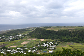 日本では喜界島しかないというサンゴ礁隆起の段丘。右手奥が一段高くなっているのが分かる＝いずれも鹿児島県喜界町で