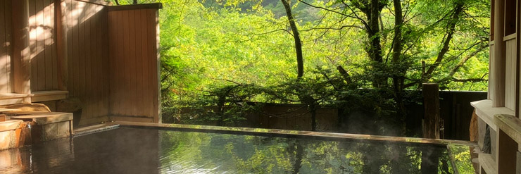 新緑の源泉パラダイス　福地温泉