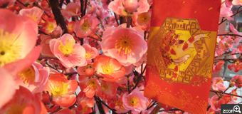 mimi／愛知県名古屋市　「中華なピンク」　赤の色とピンクの色がきれいで近づいてみました。