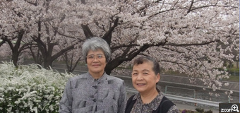 ちゃぴこ／愛知県名古屋市　「満開で花が重たいよー」　荒子川公園の満開の桜をアップでうつしました。もうこれ以上咲かないだろうというくらい花が咲き誇っていて枝も重たそう！