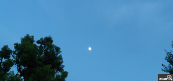 ぷるりん／愛知県名古屋市　「日が長い」　19時過ぎなのに、この明るさ！白い月がぽっかりと浮かんでいました。