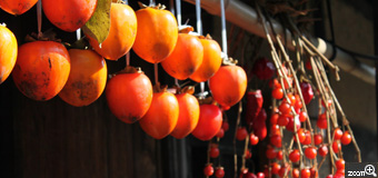 kumi／愛知県田原市　「柿」　秋色の吊るし柿が綺麗だったので